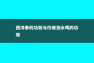 西洋参的功效与作用 (西洋参的功效与作用泡水喝的功效)