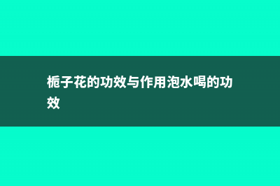 栀子花的功效 (栀子花的功效与作用泡水喝的功效)