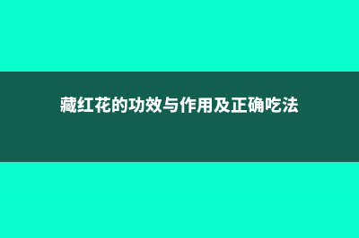 藏红花的功效与禁忌 (藏红花的功效与作用及正确吃法)