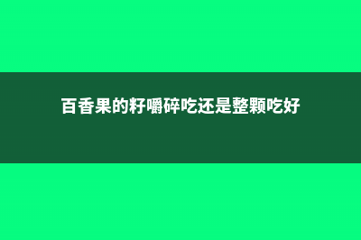 百香果的籽要嚼碎吃吗 (百香果的籽嚼碎吃还是整颗吃好)