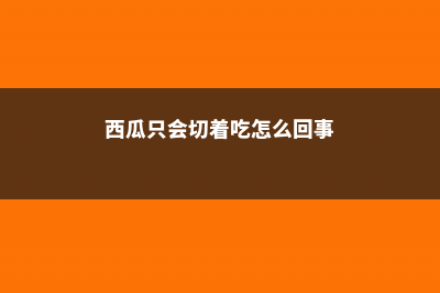 西瓜只会切着吃？白活几十年！这才是西瓜的正确吃法！ (西瓜只会切着吃怎么回事)