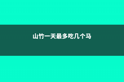 山竹一天最多吃几个 (山竹一天最多吃几个马)