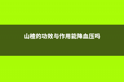 山楂的功效与作用减肥 (山楂的功效与作用能降血压吗)