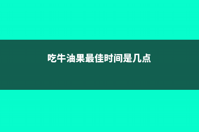 吃牛油果的最佳时间 (吃牛油果最佳时间是几点)