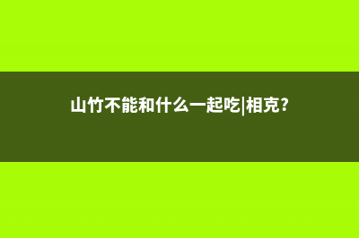 山竹不能和什么一起吃 (山竹不能和什么一起吃|相克?)