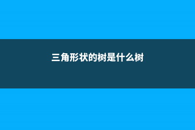 三角树状大戟有毒吗 (三角形状的树是什么树)