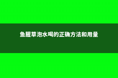 鱼腥草泡水喝的功效 (鱼腥草泡水喝的正确方法和用量)