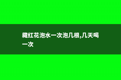 藏红花泡水一次泡几根 (藏红花泡水一次泡几根,几天喝一次)