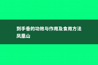 到手香的功效与作用 (到手香的功效与作用及食用方法凤凰山)