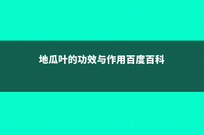 地瓜叶的功效与作用 (地瓜叶的功效与作用百度百科)