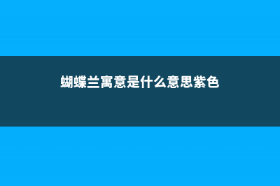 蝴蝶兰寓意是什么 (蝴蝶兰寓意是什么意思紫色)