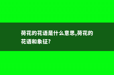 荷花的花语是什么 (荷花的花语是什么意思,荷花的花语和象征?)