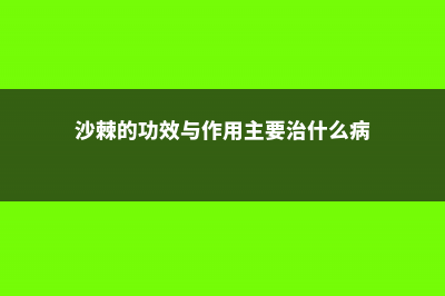 沙棘的功效与作用 (沙棘的功效与作用主要治什么病)