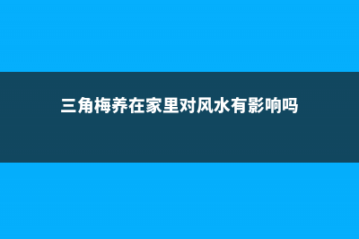 家里养三角梅吉不吉利 (三角梅养在家里对风水有影响吗)