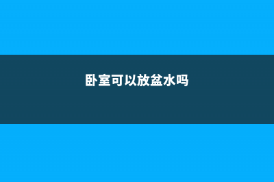 卧室只能放盆它，12小时释放氧气，让你不失眠睡的香！ (卧室可以放盆水吗)