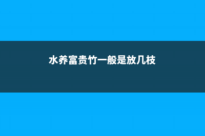 水养富贵竹一般养几支 (水养富贵竹一般是放几枝)