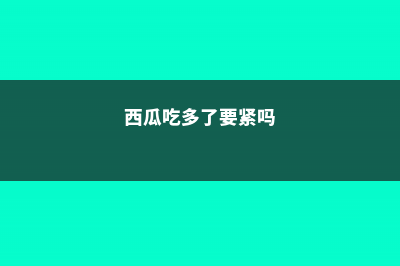 西瓜吃多了会怎么样 (西瓜吃多了要紧吗)