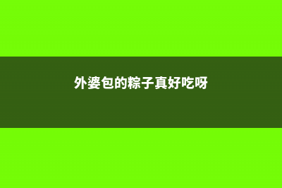 外婆用它包粽子，满楼飘香，连吃10天都不腻！ (外婆包的粽子真好吃呀)