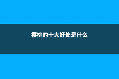 樱桃不能和什么一起吃 (樱桃的十大好处是什么)