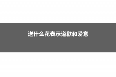 送什么花表示道歉 (送什么花表示道歉和爱意)