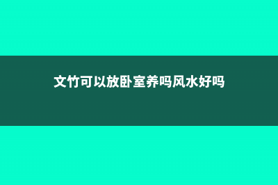 文竹可以放卧室吗 (文竹可以放卧室养吗风水好吗)