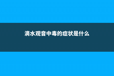 滴水观音中毒解救方法 (滴水观音中毒的症状是什么)