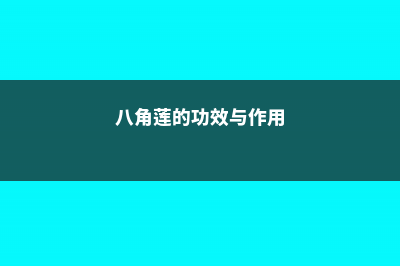 八角莲的功效与作用 (八角莲的功效与作用)