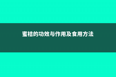 蜜桔的功效与作用 (蜜桔的功效与作用及食用方法)