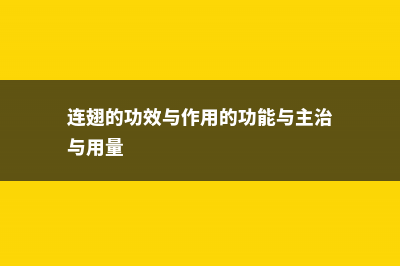 连翅的功效与作用 (连翅的功效与作用的功能与主治与用量)