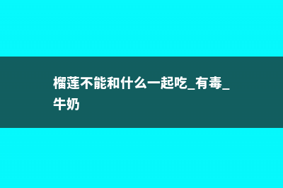 榴莲不能和什么一起吃 (榴莲不能和什么一起吃 有毒 牛奶)