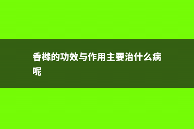 香橼的功效与作用 (香橼的功效与作用主要治什么病呢)