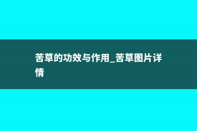 苦草的功效与作用 (苦草的功效与作用 苦草图片详情)