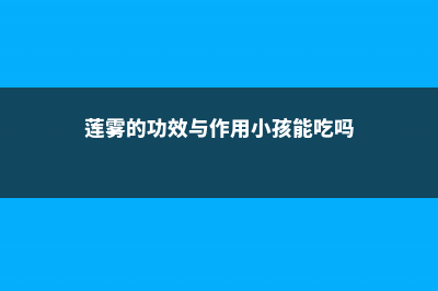 莲雾的功效与作用 (莲雾的功效与作用小孩能吃吗)