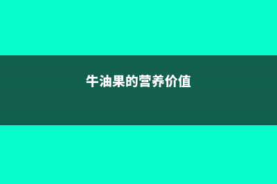 牛油果的营养价值 (牛油果的营养价值)