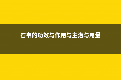 石韦的功效与作用 (石韦的功效与作用与主治与用量)