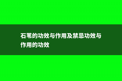 石苇的功效与作用 (石苇的功效与作用及禁忌功效与作用的功效)