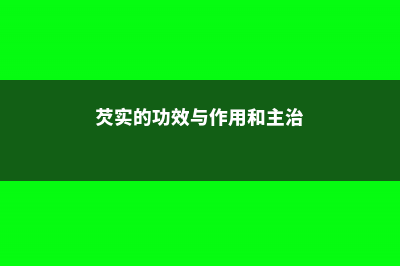 芡实的功效与作用 (芡实的功效与作用和主治)