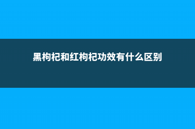 黑枸杞的功效与作用 (黑枸杞和红枸杞功效有什么区别)