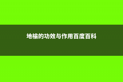 地榆的功效与作用 (地榆的功效与作用百度百科)