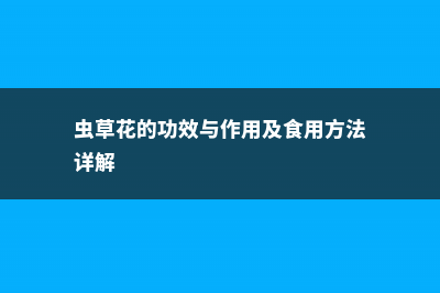 虫草花的功效与作用 (虫草花的功效与作用及食用方法详解)