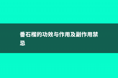 番石榴的功效与作用 (番石榴的功效与作用及副作用禁忌)