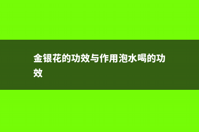 金银花的功效与作用 (金银花的功效与作用泡水喝的功效)