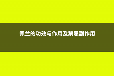 佩兰的功效与作用 (佩兰的功效与作用及禁忌副作用)