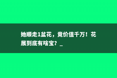 她顺走1盆花，竟价值千万！花展到底有啥宝？ 