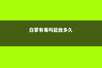 白掌有毒吗能放室内吗 (白掌有毒吗能放多久)