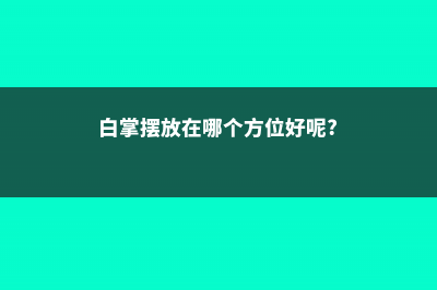 白掌摆放禁忌 – (白掌摆放在哪个方位好呢?)