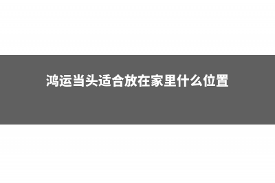 鸿运当头适合放客厅吗 (鸿运当头适合放在家里什么位置)