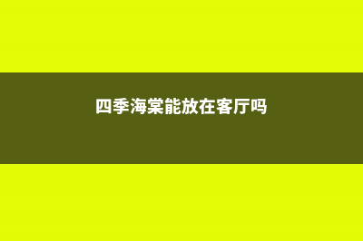 四季海棠能放在卧室吗 (四季海棠能放在客厅吗)