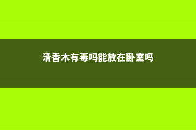 清香木有毒吗 (清香木有毒吗能放在卧室吗)