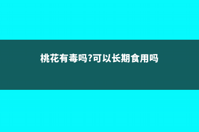 桃花有毒吗 (桃花有毒吗?可以长期食用吗)